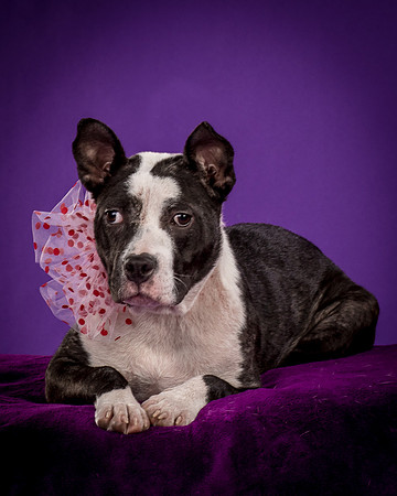 Foster Claire-4197