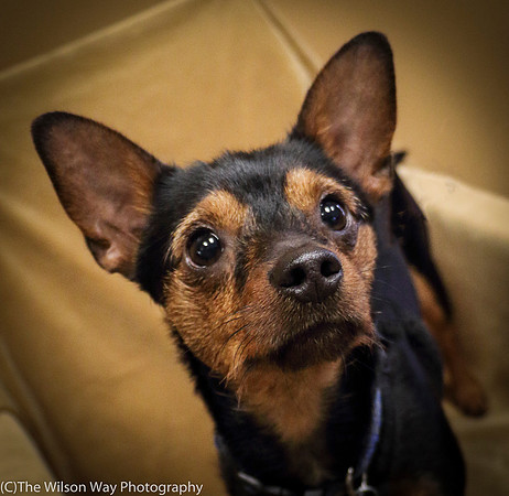 Foster Wall-e-0769