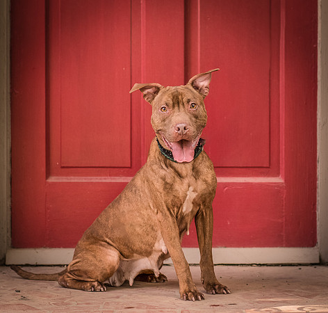 Foster Coco-8138