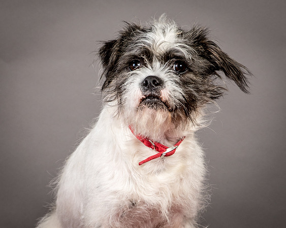 Foster Leeza-2704