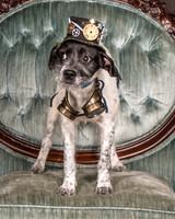 Foster Billie-8146