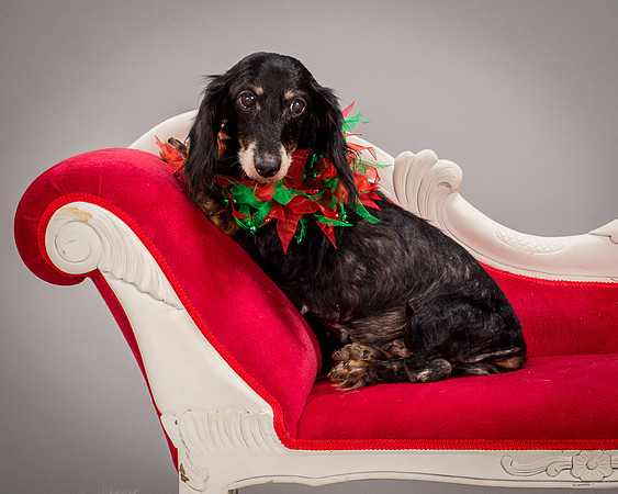 Foster Bernice-3752