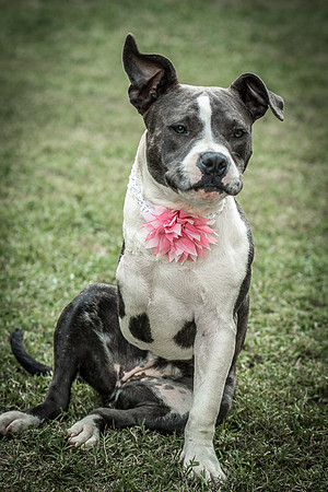 Foster Maya-0333