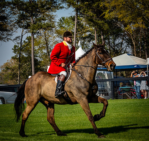Horses-9541