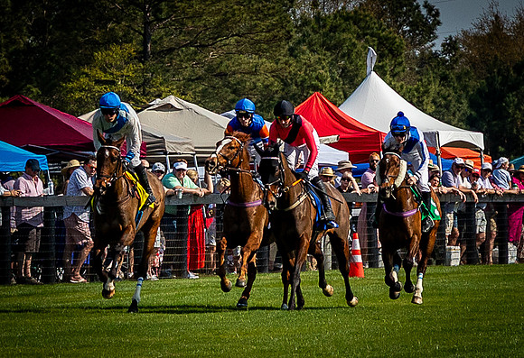 Horses-9551