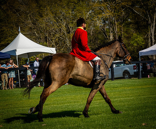 Horses-9547