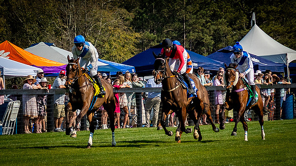 Horses-9554
