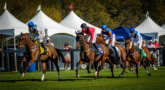 Horses-9558