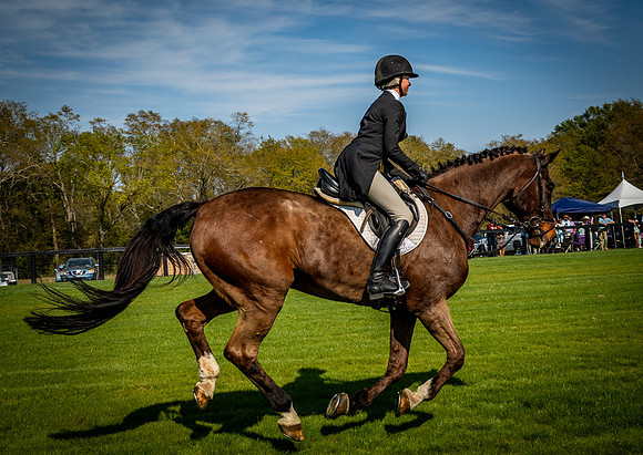 Horses-9548