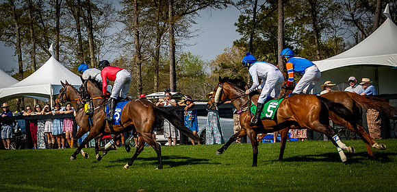 Horses-9566