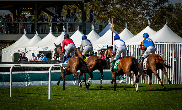 Horses-9568
