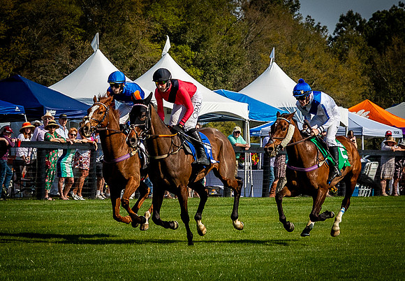 Horses-9579