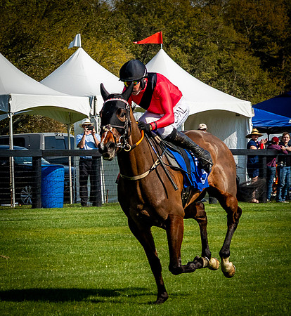 Horses-9597