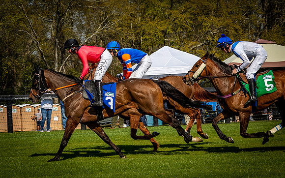 Horses-9583