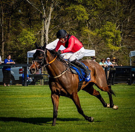 Horses-9598