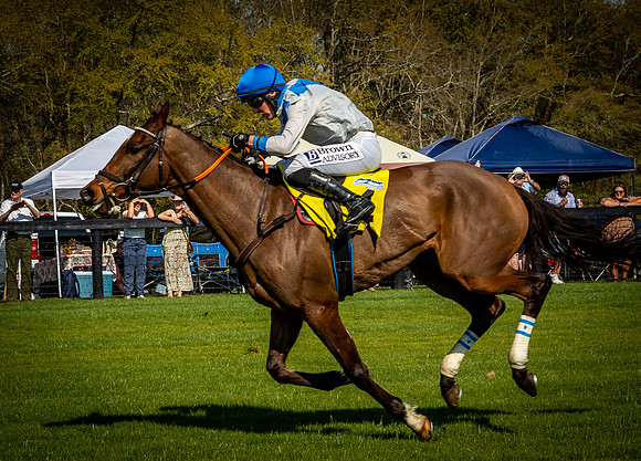 Horses-9600