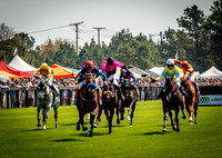 Horses-9145