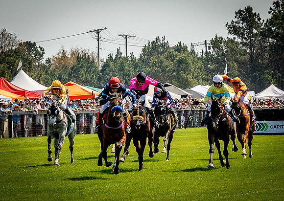 Horses-9145