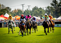 Horses-9146