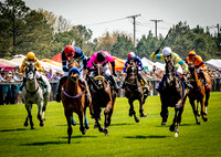 Horses-9148