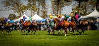 Horses-9122