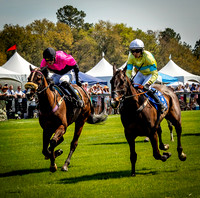 Horses-9155