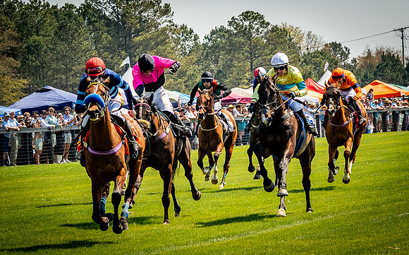 Horses-9152