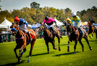 Horses-9154