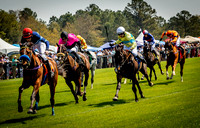 Horses-9153
