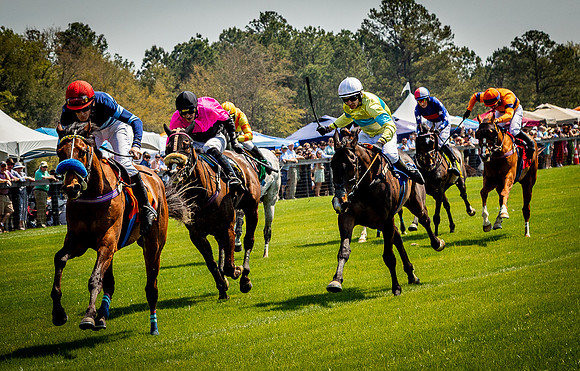 Horses-9153