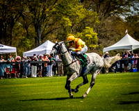 Horses-9159