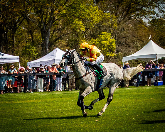 Horses-9159