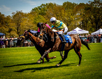 Horses-9158