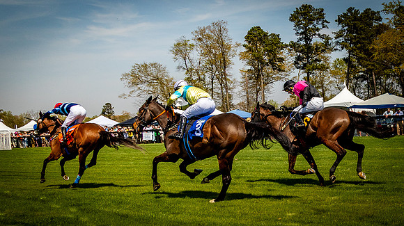 Horses-9162