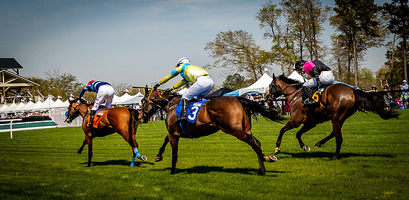 Horses-9163