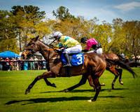 Horses-9160