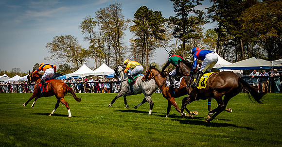 Horses-9164