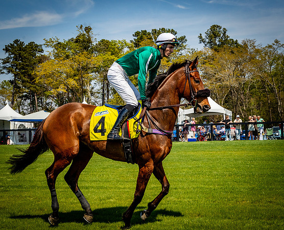 Horses-9201