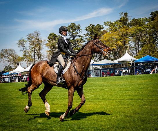 Horses-9205