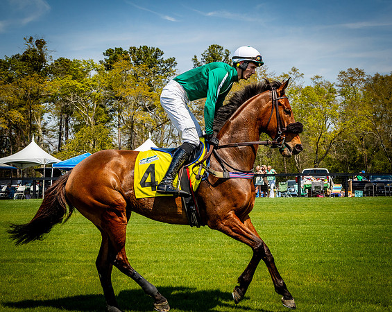 Horses-9202