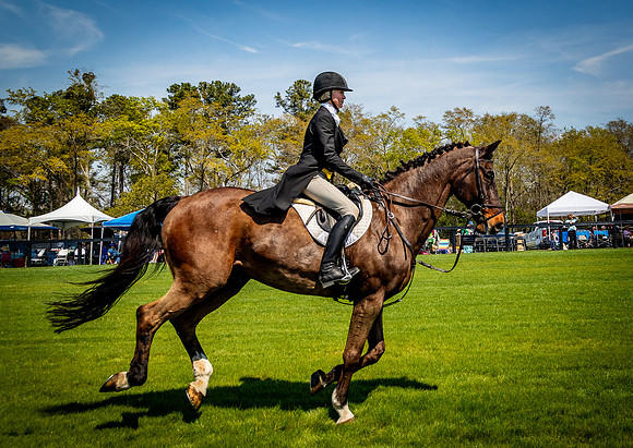 Horses-9207