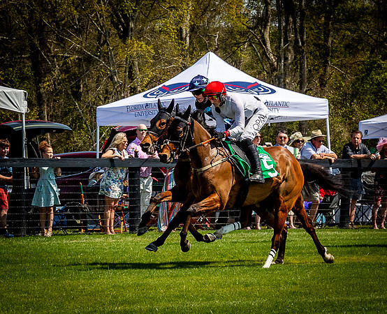 Horses-9221