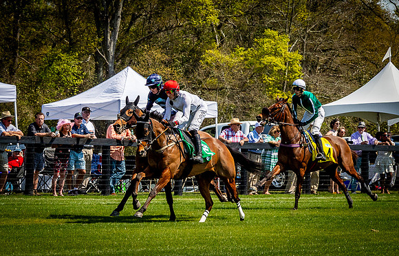 Horses-9220