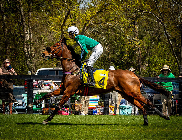 Horses-9225