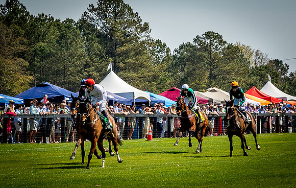 Horses-9234