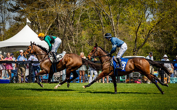 Horses-9227