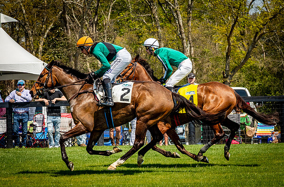 Horses-9243