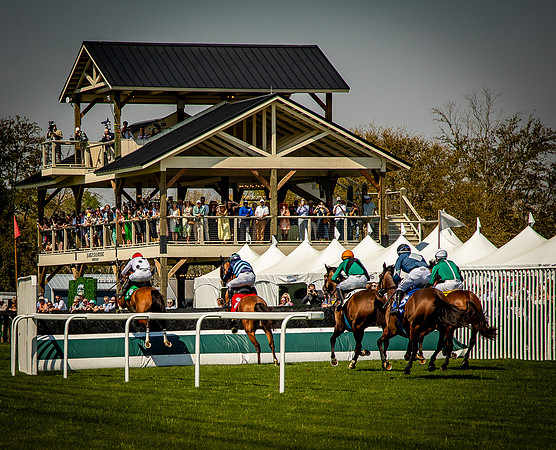 Horses-9248