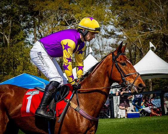 Horses-9281