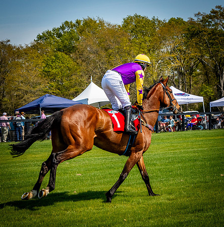 Horses-9283